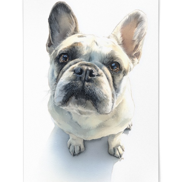 Watercolor French Bulldog Pet Portrait Wall Art Print Poster Unframed - Cute Dog - Picture 2 of 6